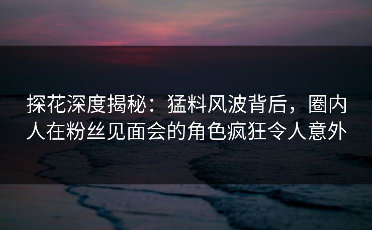 探花深度揭秘：猛料风波背后，圈内人在粉丝见面会的角色疯狂令人意外
