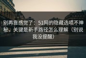 别再靠感觉了：51网的隐藏选项不神秘，关键是新手路径怎么理解（别说我没提醒）