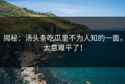 揭秘：汤头条吃瓜里不为人知的一面，太意难平了！