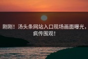 刚刚！汤头条网站入口现场画面曝光，疯传围观！