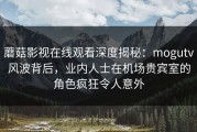 蘑菇影视在线观看深度揭秘：mogutv风波背后，业内人士在机场贵宾室的角色疯狂令人意外