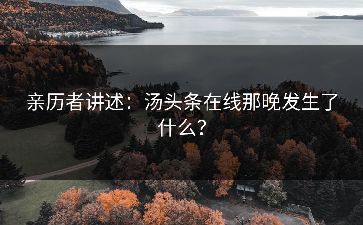 亲历者讲述：汤头条在线那晚发生了什么？