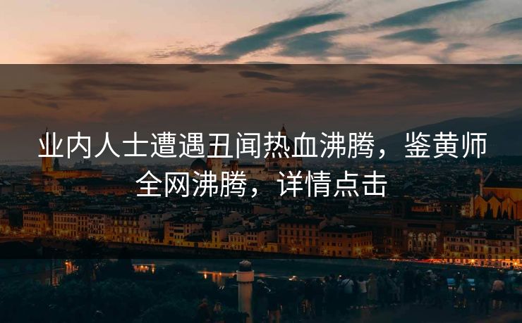 业内人士遭遇丑闻热血沸腾，鉴黄师全网沸腾，详情点击
