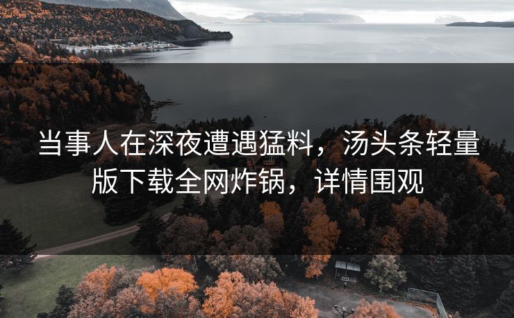 当事人在深夜遭遇猛料，汤头条轻量版下载全网炸锅，详情围观