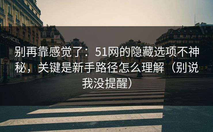 别再靠感觉了：51网的隐藏选项不神秘，关键是新手路径怎么理解（别说我没提醒）